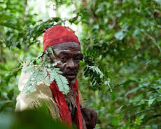 Die Hüter des Waldes (2/5)