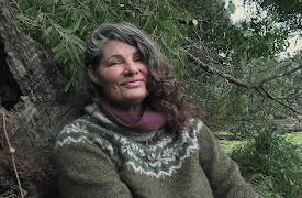 Alone Australia Season 2: Head Games