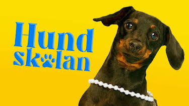 23:25: Hundskolan | SVT24 | 5/26 2026