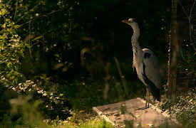 One Night In: One Night In London Zoo