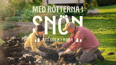 21:00: Med rötterna i snön (meänkieli) | SVT24 | 4/19 2026