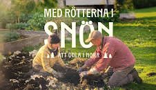 Med rötterna i snön (meänkieli)