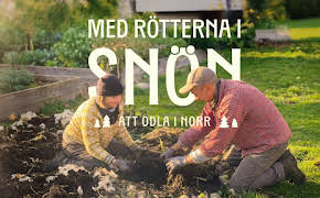 Med rötterna i snön (meänkieli)