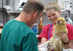 Shelter From The Storm