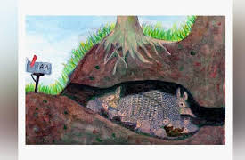 Key Wilde: Armondo Armadillo