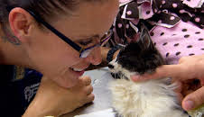 Dyrlegen i Rocky Mountain (S2 E5)