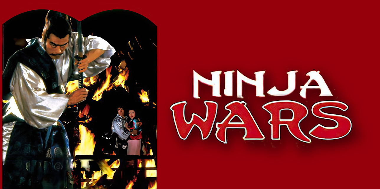 Death of a Ninja (1982)