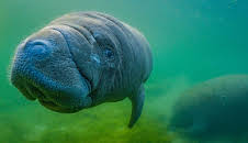 Gute Nachrichten vom Planeten