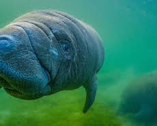 Gute Nachrichten vom Planeten