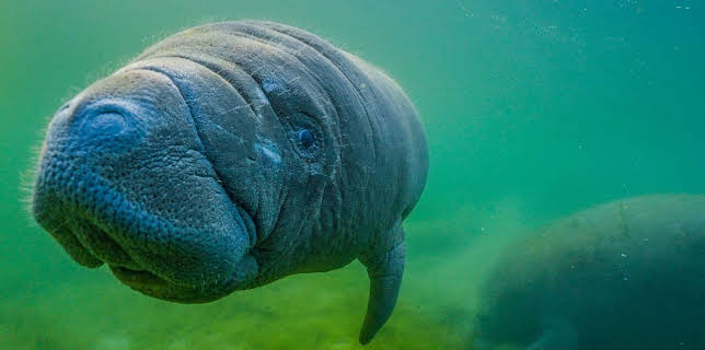 18:35: Gute Nachrichten vom Planeten | Arte | 3/16 2026