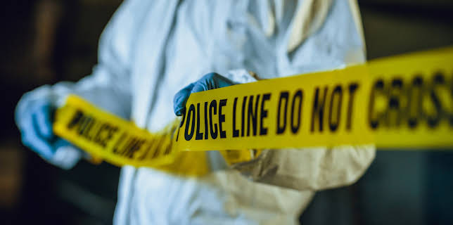 00:00: The Wonderland Murders (S1 E4) (S1) | ID | 12/15 2025