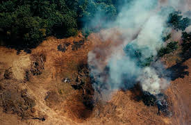 Getting Warmer with Kal Penn - Bloomberg Originals: Learning From Nature