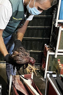 20:08: Seprona en acción: Episodio 14 | Discovery Max | 4/11 2026