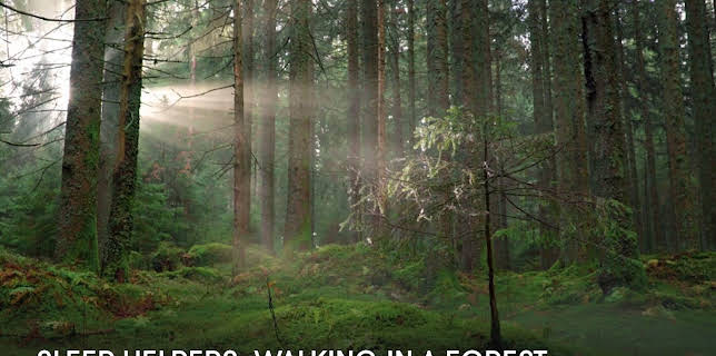 Sleep Helpers: Walking in a Forest (2023)