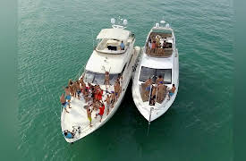 Beyond the Tattoo: Tampa Bay