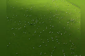 New Zealand From Above: Southern North Island and Volcanic Plateau