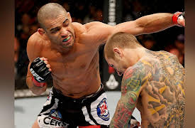 2013 Knockout of the Night: Renan Barao vs. Eddie Wineland UFC 165