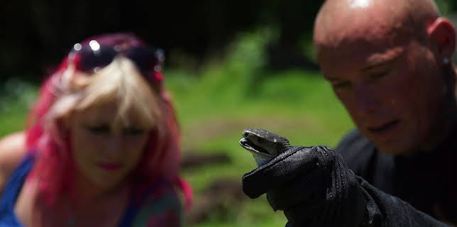 11:00 PM: Snakes In The City | Nat Geo Wild | 3/8 2026