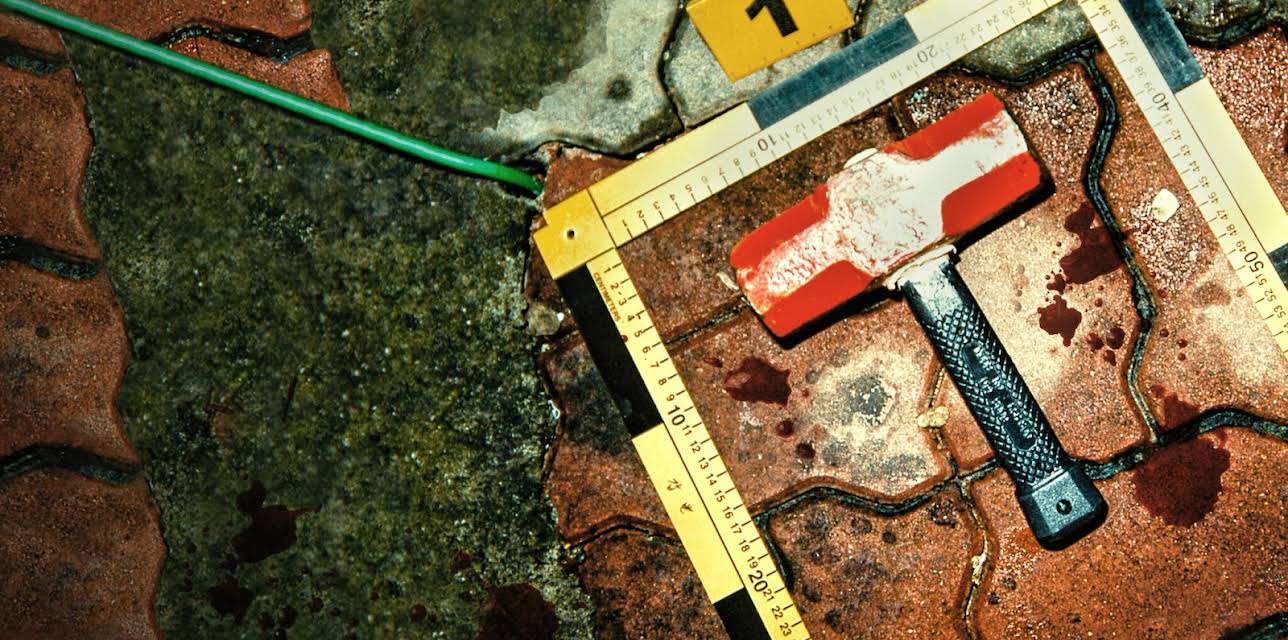 The Raincoat Killer: Chasing a Predator in Korea