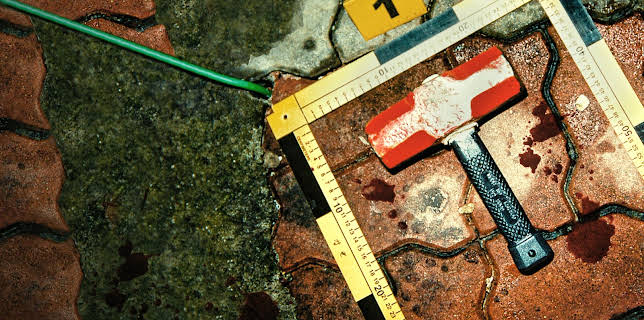 Den gula regnrocken: Jakten på en koreansk seriemördare