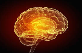 The Spiritual Brain: Science and Religious Experience: Religion and Brain Dysfunction