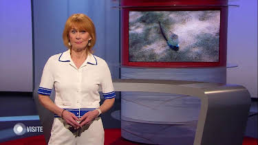 20:15: Visite | NDR Fernsehen | 6/30 2026