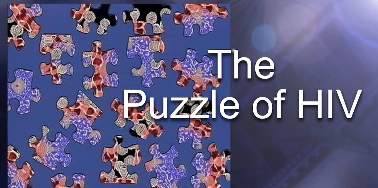 Puzzle of HIV, The (2010)