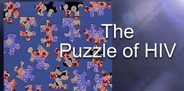 Puzzle of HIV, The (2010)