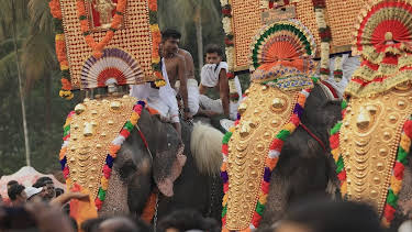 13:50: Traumorte - Kerala | 3SAT | 7/31 2026