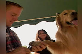 Going to the Dogs: Who's Handling Who?