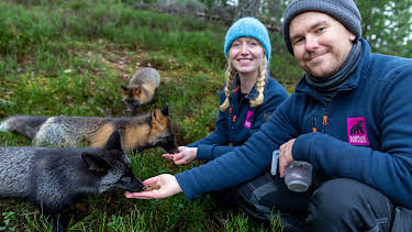 9:00 PM: New: Nordic Train at Christmas | Channel 4 | 12/27 2025