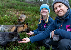 New: Nordic Train at Christmas