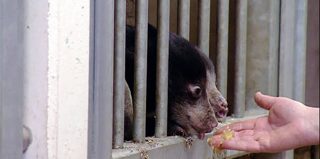 14:25: Elefant, Tiger & Co. (204) | MDR Fernsehen | 11/27 2025