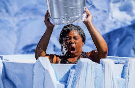 I Survived Bear Grylls, Season 1: Hit Me With Your Best Shock