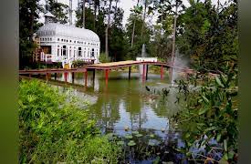 Home Strange Home: Houseboat Island and More