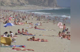 Inside the American Mob  Season 1: Operation Donnie Brasco