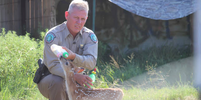 13:05: Lone Star Law  (S4 E12) (S4) | Animal Planet | 11/20 2025