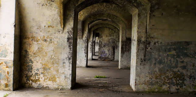 1:00 AM: Abandoned Engineering (S6 E4) (S6) | Yesterday | 1/30 2026