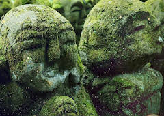 The Magical World of Moss