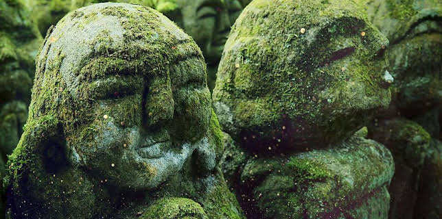 1:40 AM: The Magical World of Moss | BBC Four | 12/4 2025