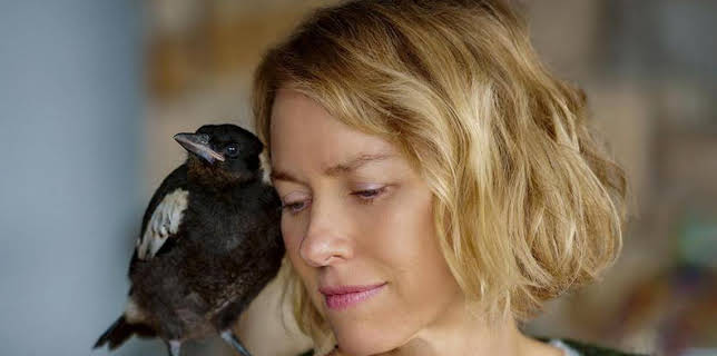 00:05: Filme in der ARD | Das Erste | 11/17 2025