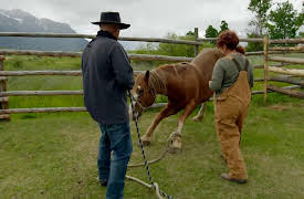 Breaking Wild: Season 1: Now We Got Problems