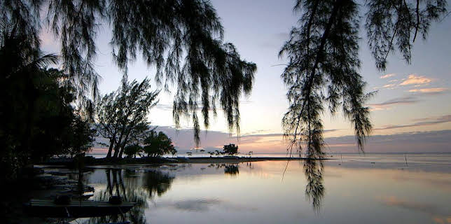 10:25: Stadt Land Kunst Spezial | Arte | 1/31 2026