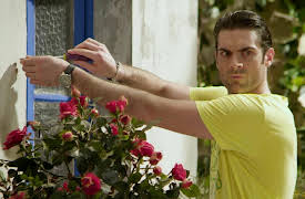 Dear Neighbours: Season 1 episode 21