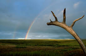 Fundamentals of Photography II: Working with Light in a Landscape