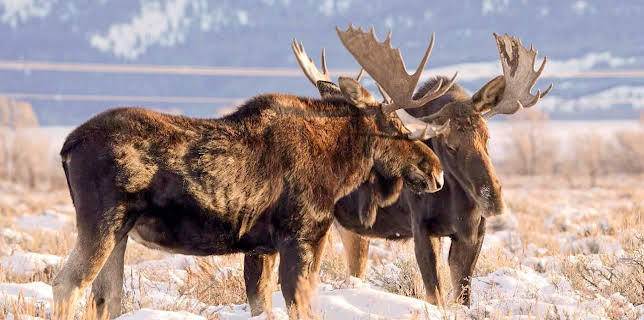 13:15: Stadt Land Kunst | Arte | 3/10 2026