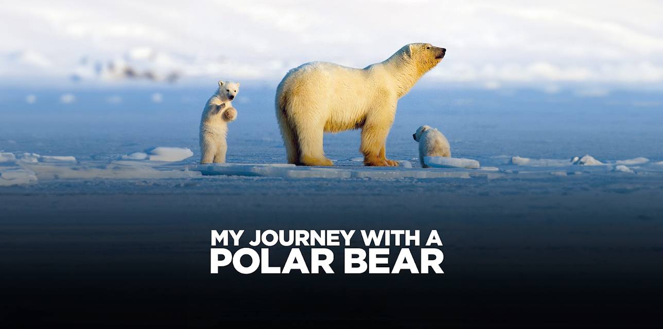 My Journey With a Polar Bear (2019)