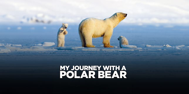 My Journey With a Polar Bear (2019)