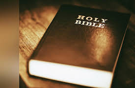 Reading Biblical Literature: Genesis to Revelation: Biblical Wisdom Literature