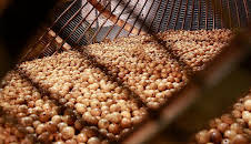 Sorteo De Loteria De Navidad